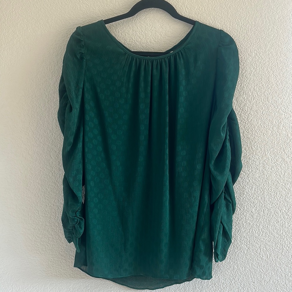 Max Studio Semi Sheer Long Sleeved Blouse